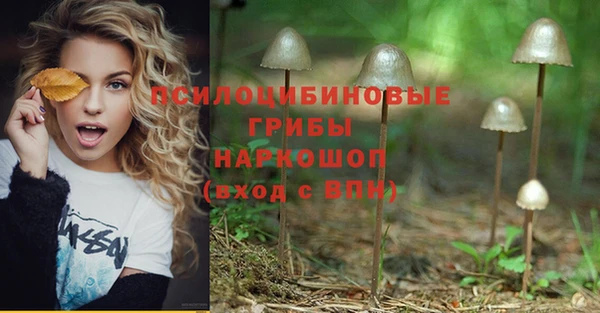 хмурый Богданович