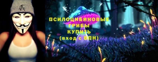 тгк Володарск